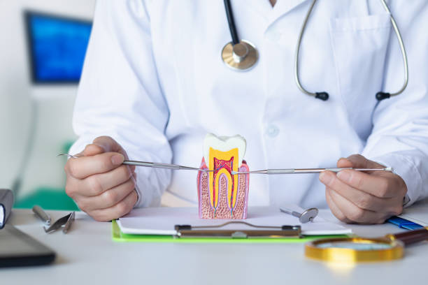 Best Emergency Pediatric Dental Care in Oxford, KS